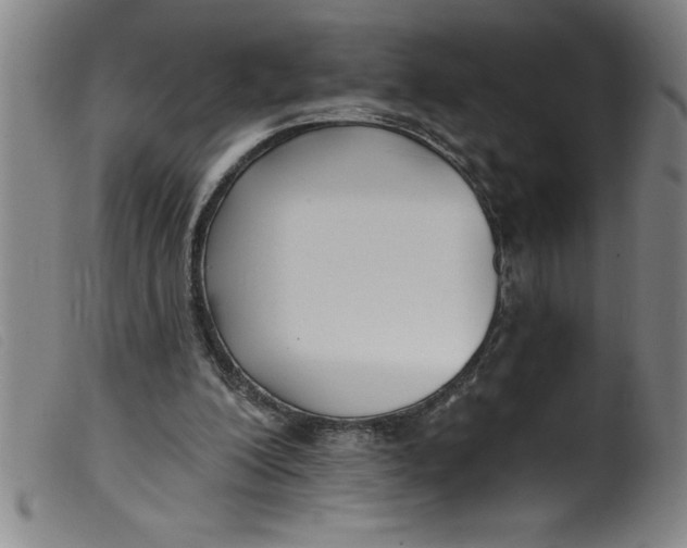 X0000099320200200805161408