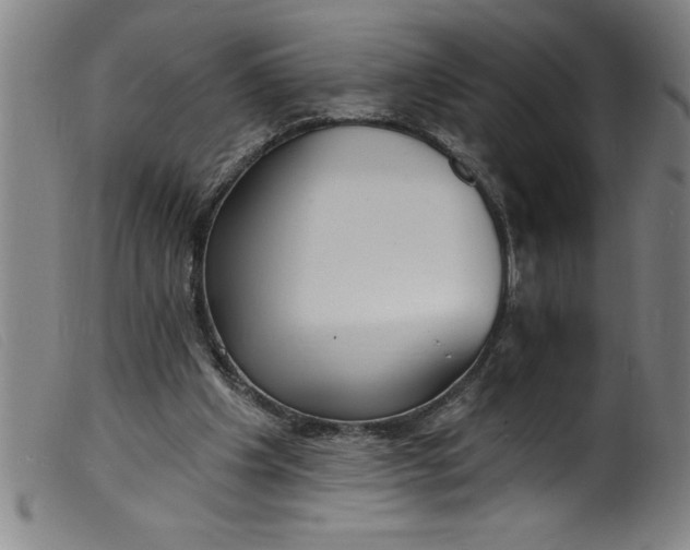 X0000099320201200805161408