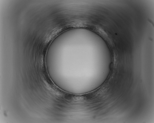 X0000099320202200805161408