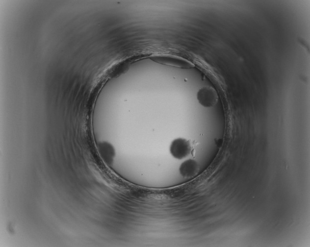 X0000099320203200805161408