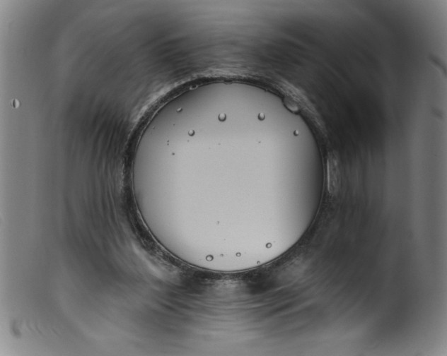 X0000099320204200805161408