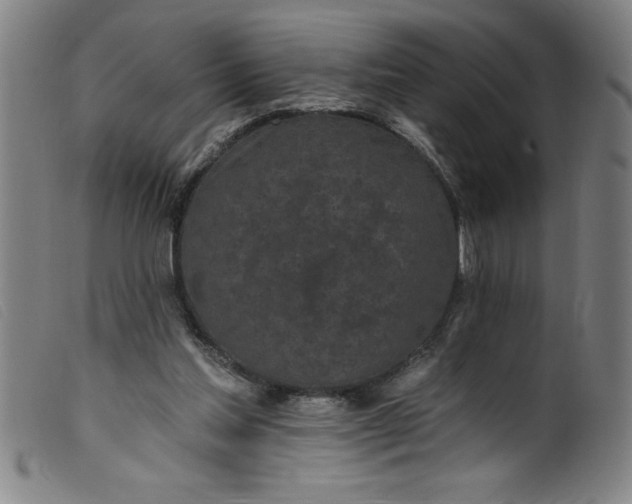 X0000099320205200805161408