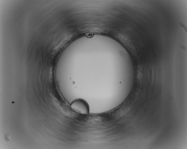 X0000099320206200805161408