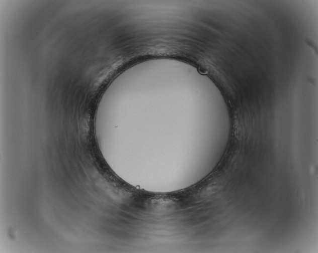 X0000099320208200805161408