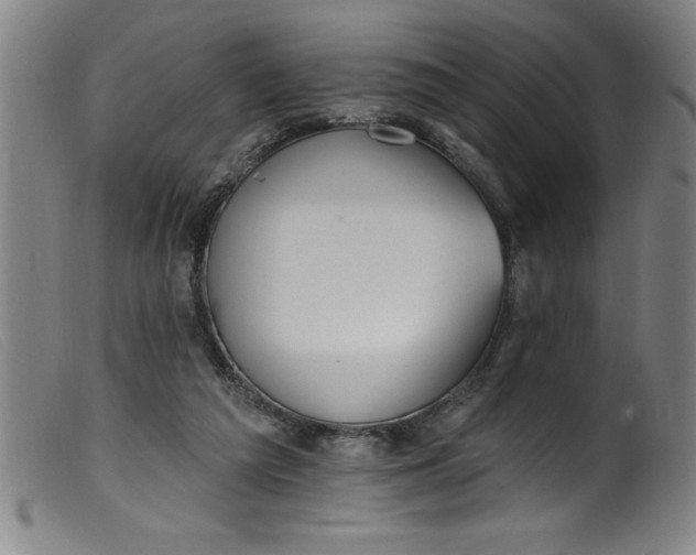 X0000099320209200805161408