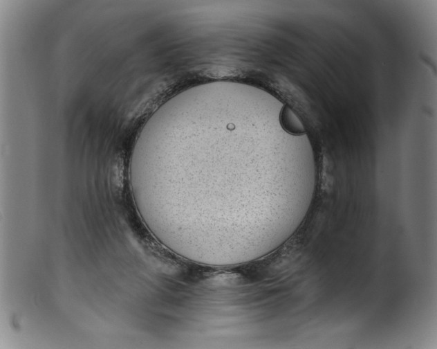 X0000099320210200805161408