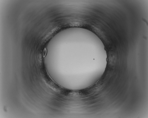 X0000099320211200805161408