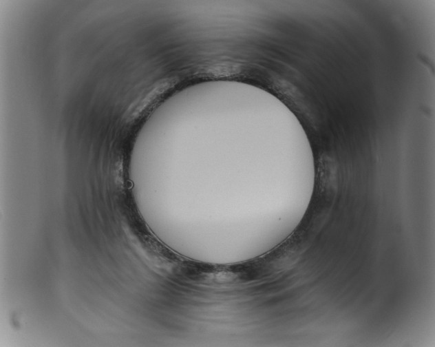 X0000099320212200805161408