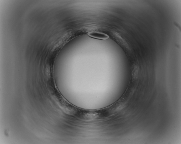 X0000099320213200805161408