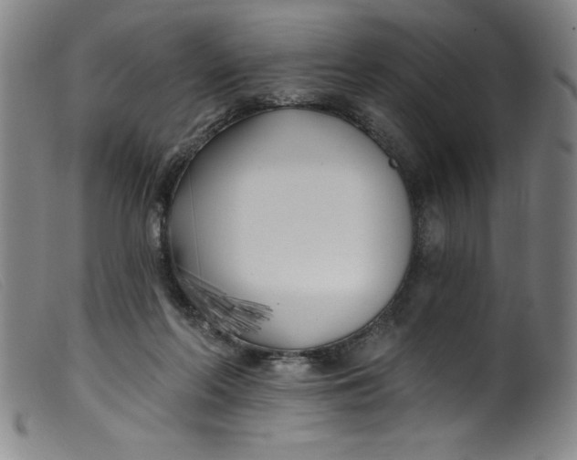 X0000099320214200805161408