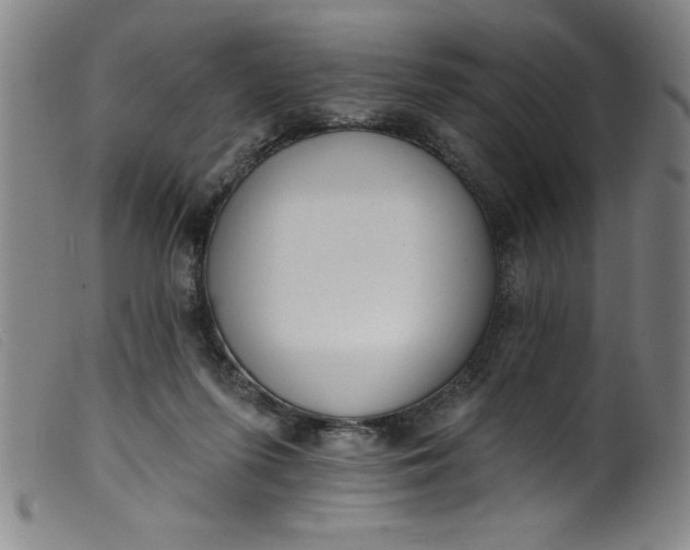 X0000099320215200805161408