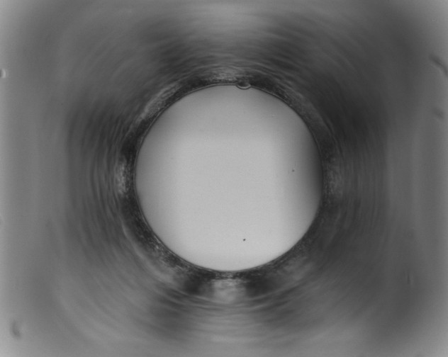 X0000099320216200805161408