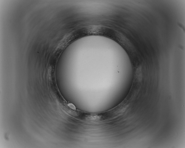 X0000099320217200805161408