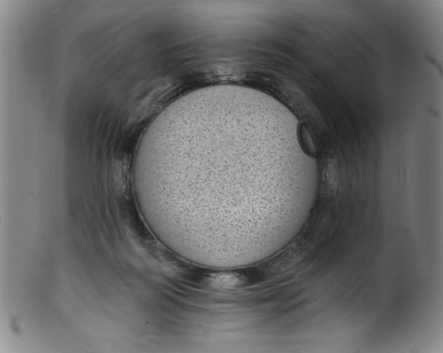 X0000099320218200805161408