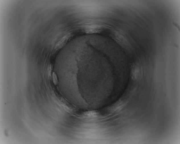 X0000099320219200805161408