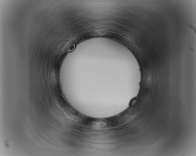 X0000099320220200805161408