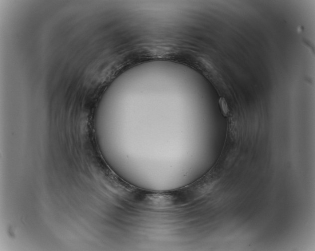 X0000099320221200805161408