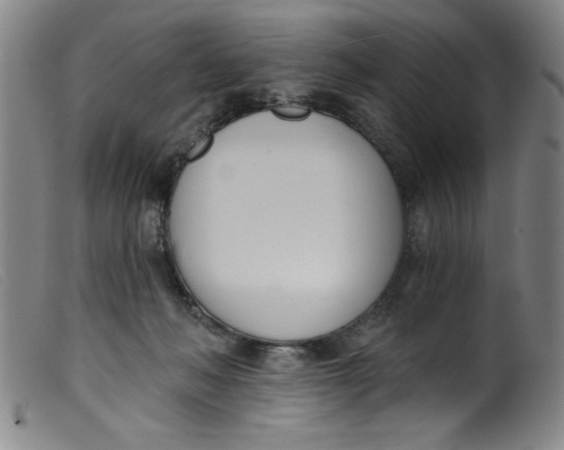 X0000099320222200805161408