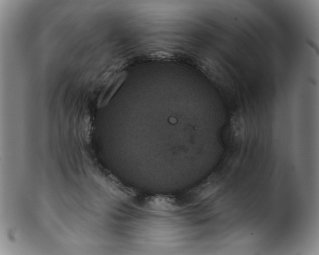 X0000099320223200805161408