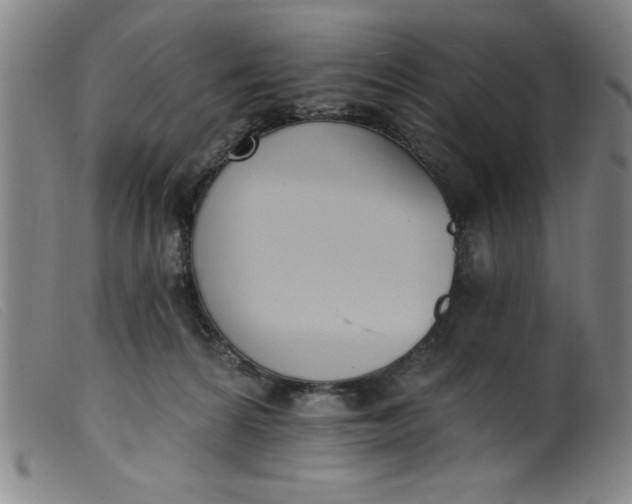 X0000099320224200805161408