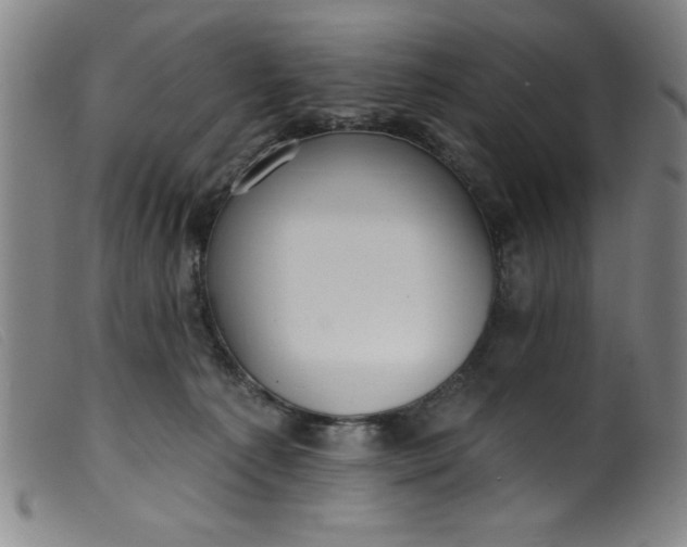 X0000099320225200805161408