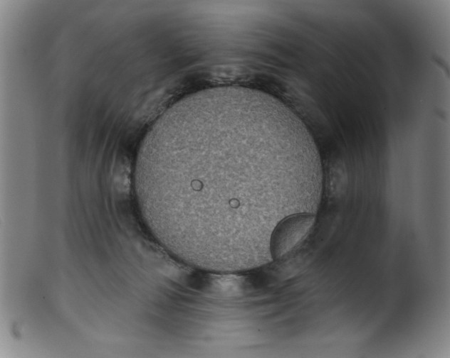 X0000099320226200805161408