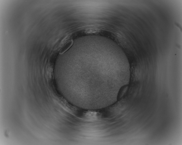 X0000099320227200805161408