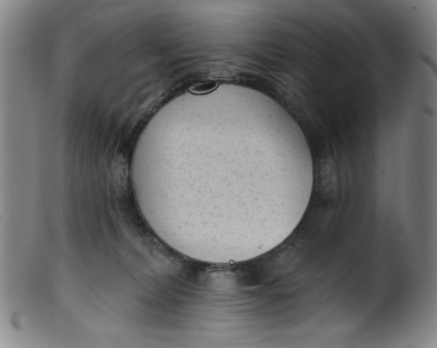 X0000099320228200805161408