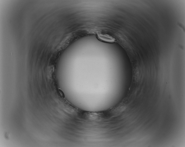 X0000099320229200805161408