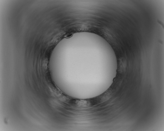 X0000099320230200805161408