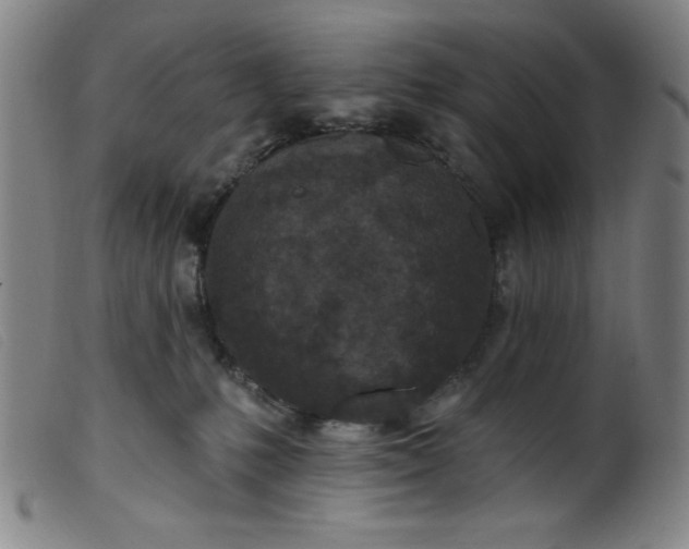 X0000099320231200805161408