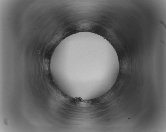 X0000099320232200805161408