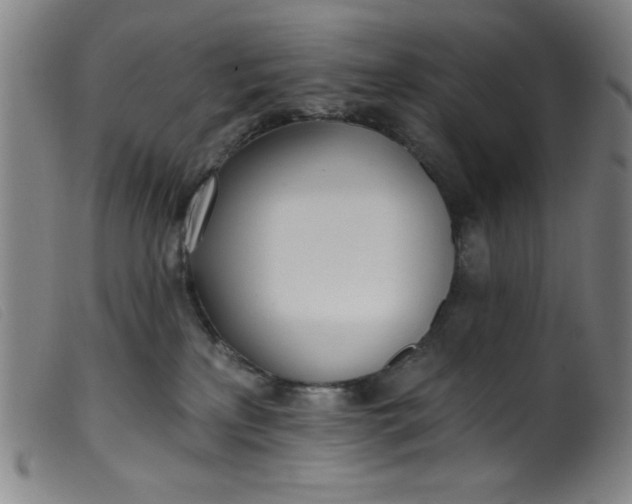 X0000099320233200805161408