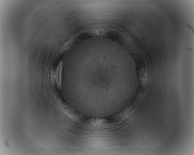 X0000099320235200805161408