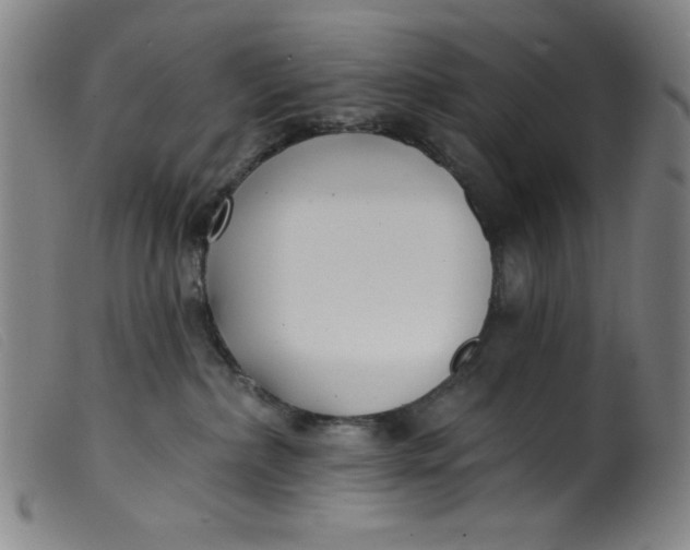 X0000099320236200805161408