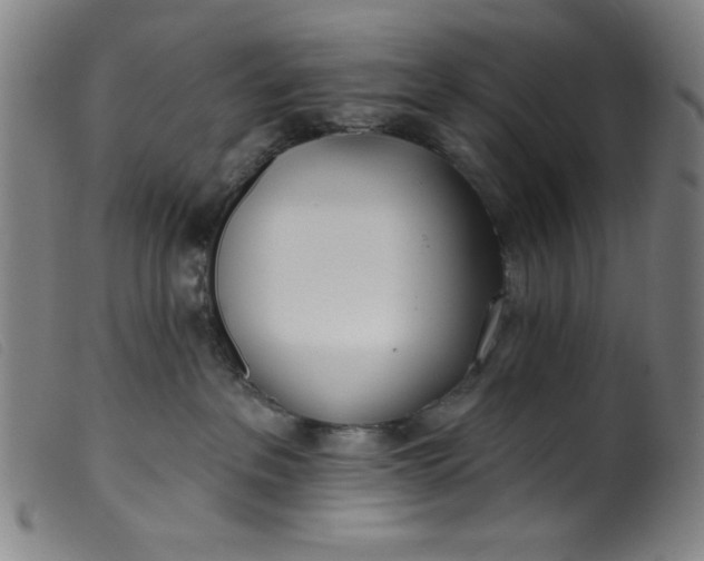 X0000099320237200805161408