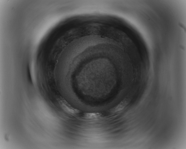 X0000099320239200805161408