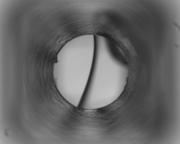 X0000099320240200805161408