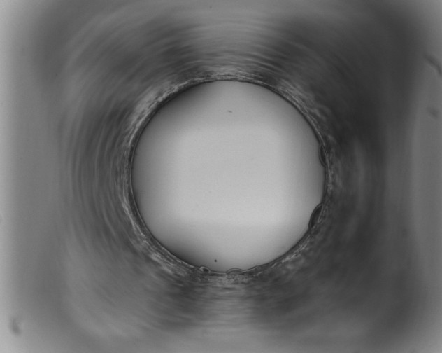 X0000099320241200805161407