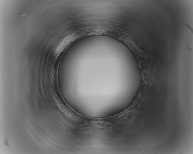 X0000099320242200805161407