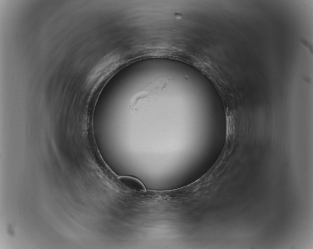 X0000099320243200805161407