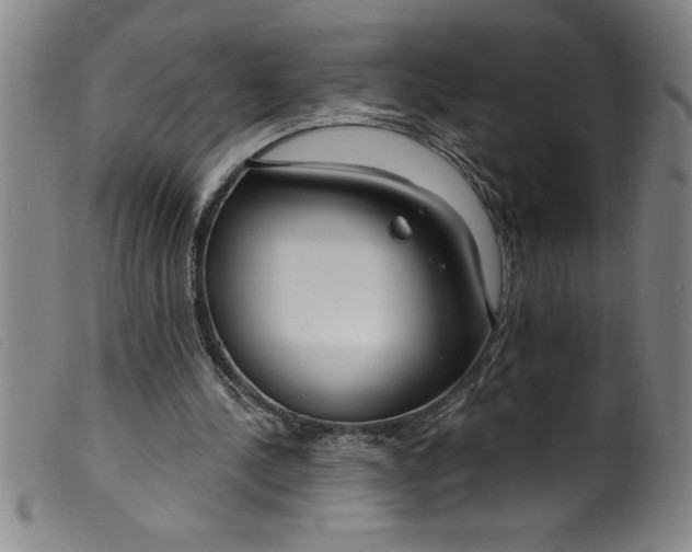 X0000099320244200805161407