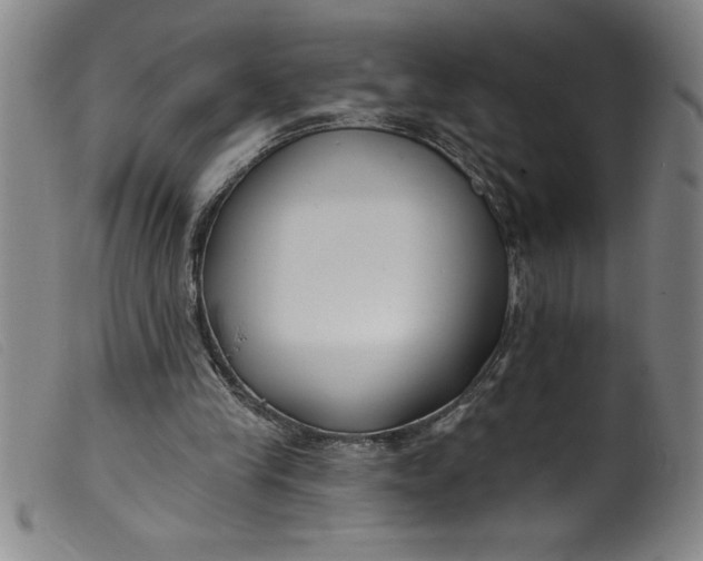 X0000099320245200805161407