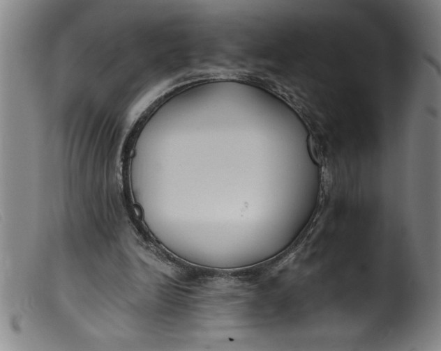 X0000099320246200805161407