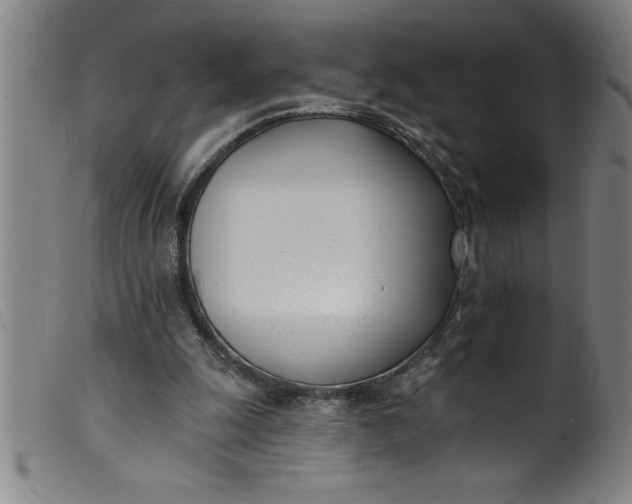 X0000099320247200805161407