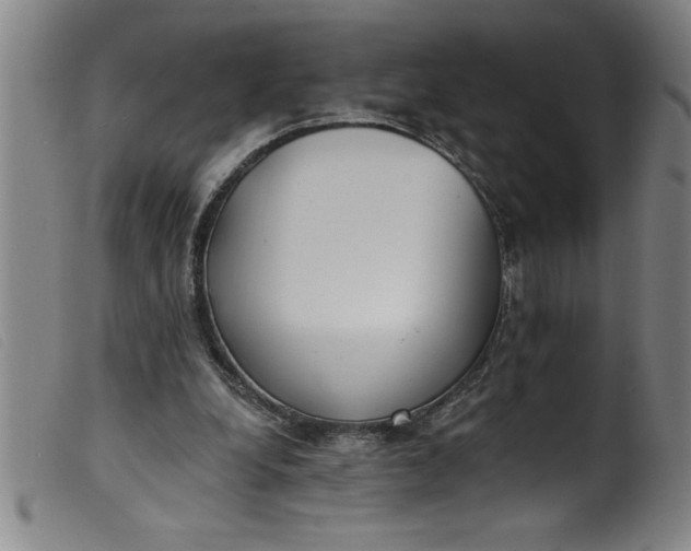 X0000099320248200805161407