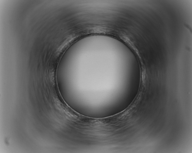 X0000099320249200805161407