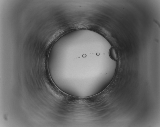 X0000099320250200805161407