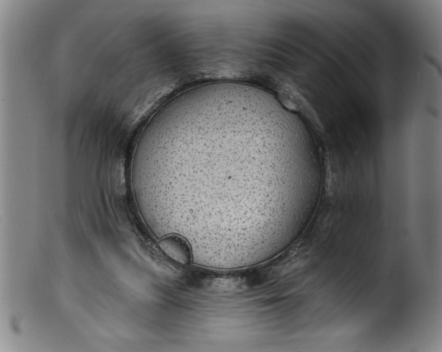 X0000099320251200805161407