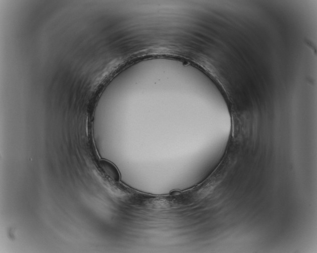 X0000099320253200805161407